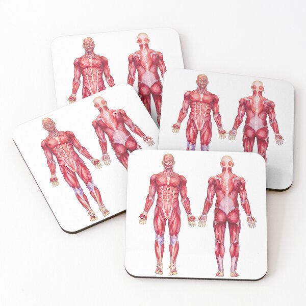 Item preview, Watercolor male muscular system designed and sold by Ekaterina Glazkova.