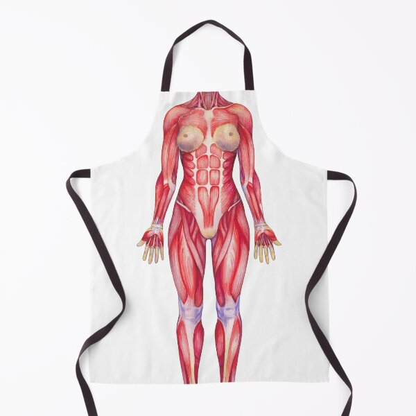 Item preview, Female watercolor muscular system designed and sold by Ekaterina Glazkova.