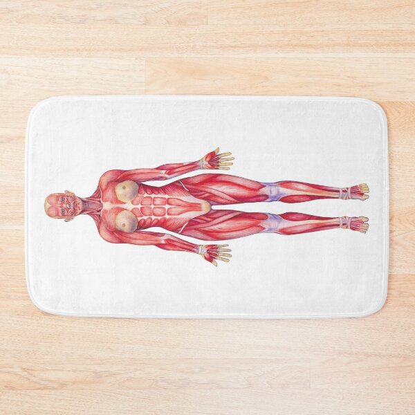 Item preview, Female watercolor muscular system designed and sold by Ekaterina Glazkova.
