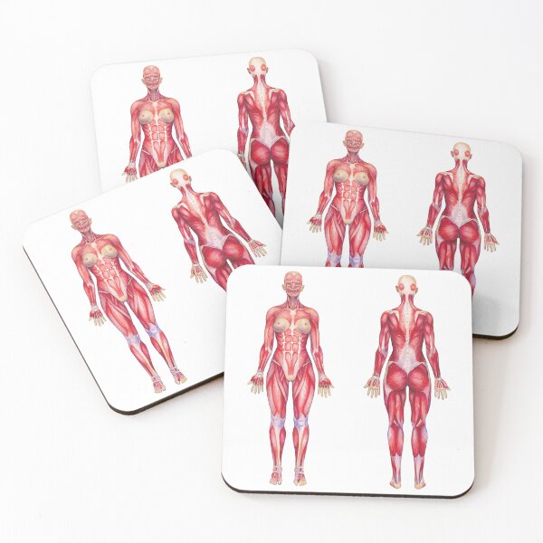 Item preview, Female watercolor muscular system designed and sold by Ekaterina Glazkova.