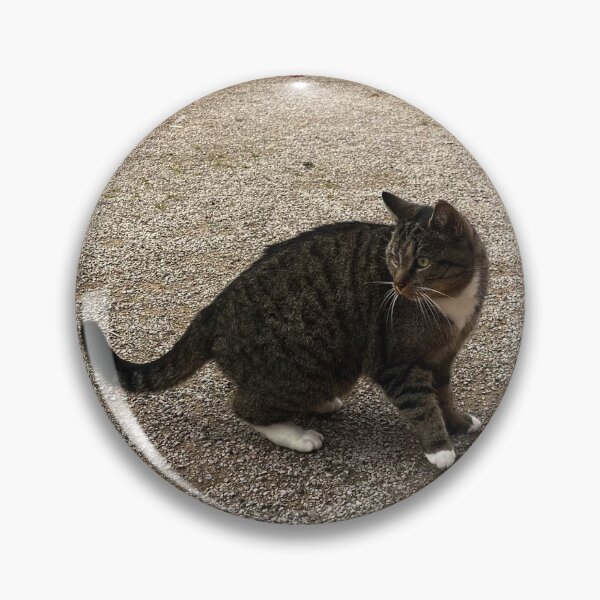 Item preview, Cat scared by a leaf in Germany designed and sold by SpiderStar.