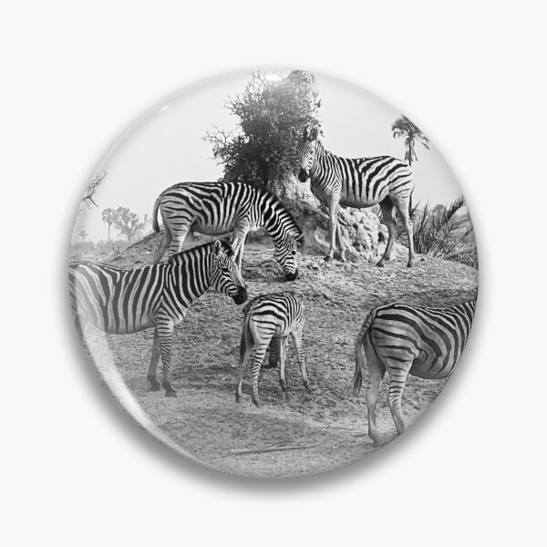Item preview, Zebra Africa designed and sold by Eric Nagel.
