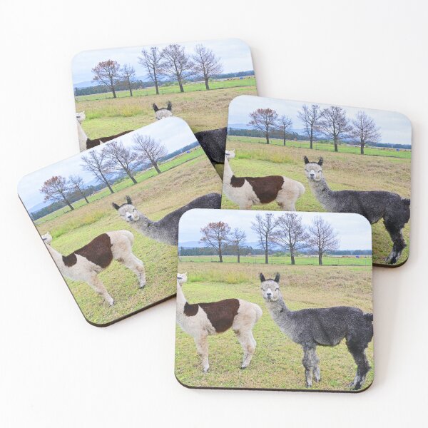 Item preview, Two alpaca's in a paddock designed and sold by Doug Cliff.