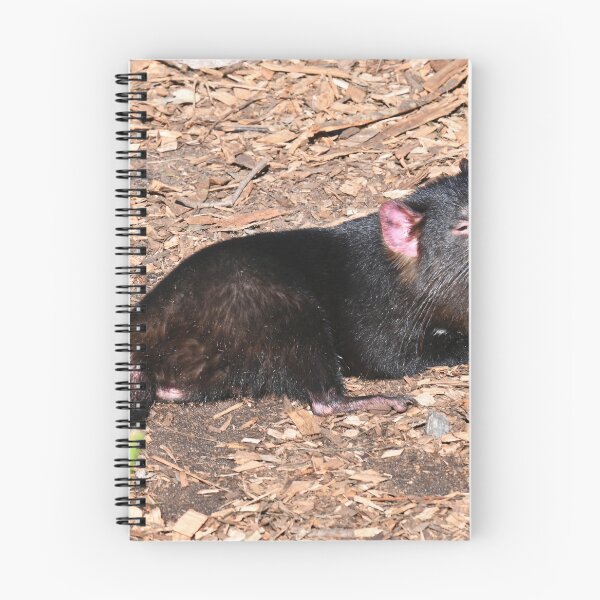 Item preview, Tasmanian devil designed and sold by Doug Cliff.