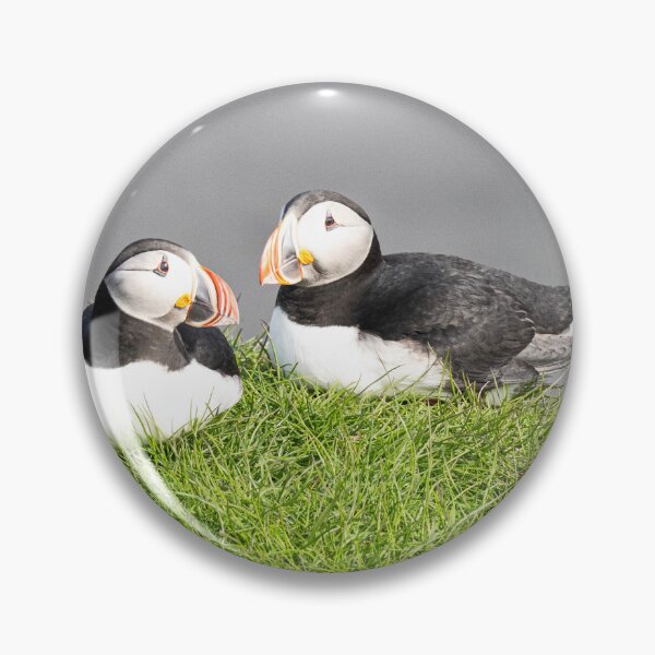 Item preview, Pair of Atlantic Puffins, designed and sold by kathleenjean.