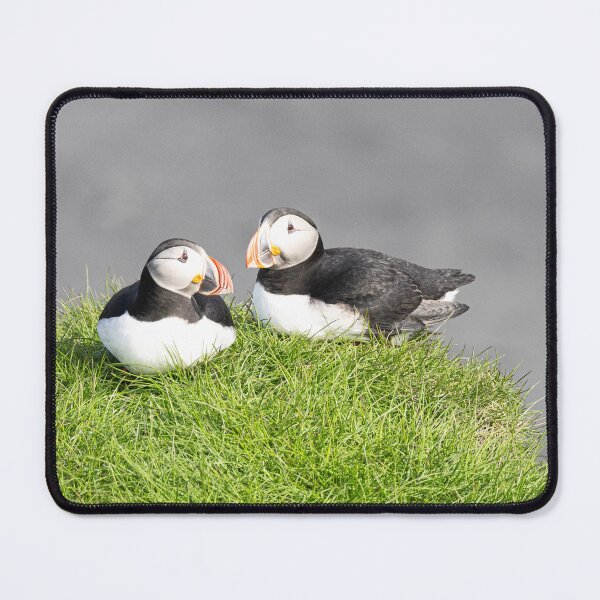 Item preview, Pair of Atlantic Puffins, designed and sold by kathleenjean.