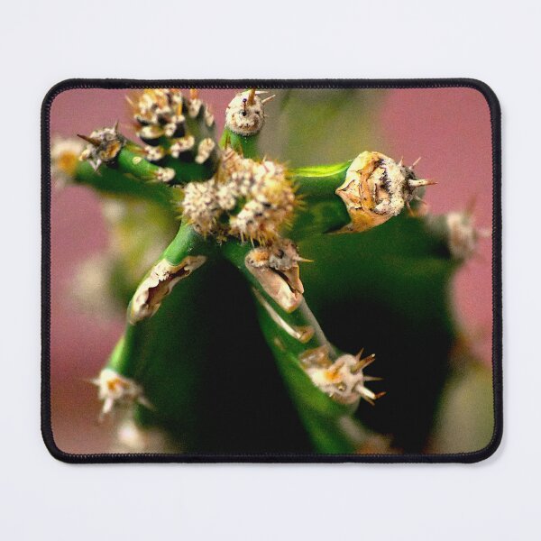 Item preview, Cactus Tips designed and sold by MercerImages.