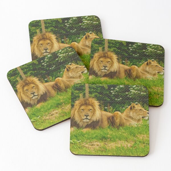 Item preview, Pair of Lions designed and sold by jalfc46.