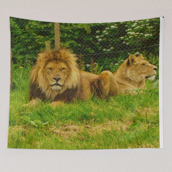 Item preview, Pair of Lions designed and sold by jalfc46.