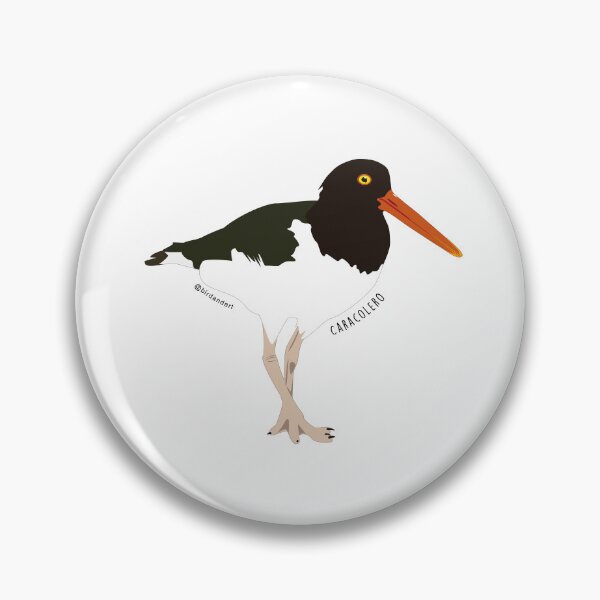 Item preview, Caracolero (American Oystercatcher) designed and sold by josmaresteban.