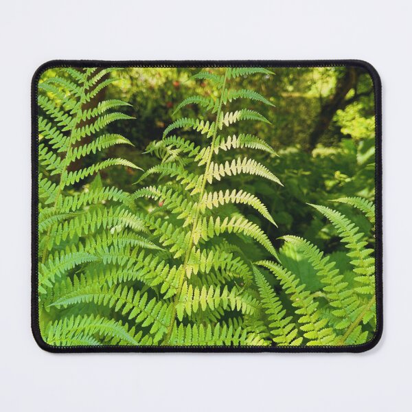 Item preview, Fern Leaves designed and sold by aaliyahdeacon.
