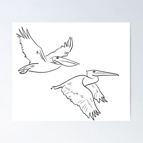 Item preview, Pelicanos designed and sold by reginaylamar.