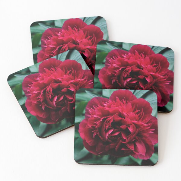Item preview, Peony designed and sold by Tom McPherson Photography.