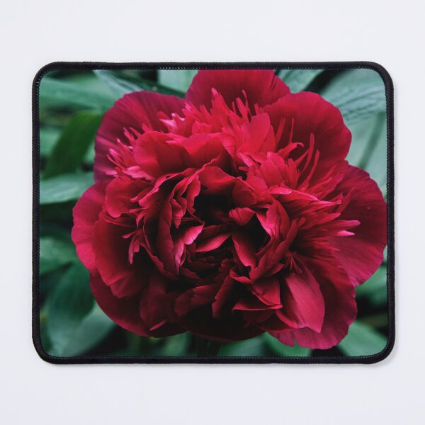 Item preview, Peony designed and sold by Tom McPherson Photography.