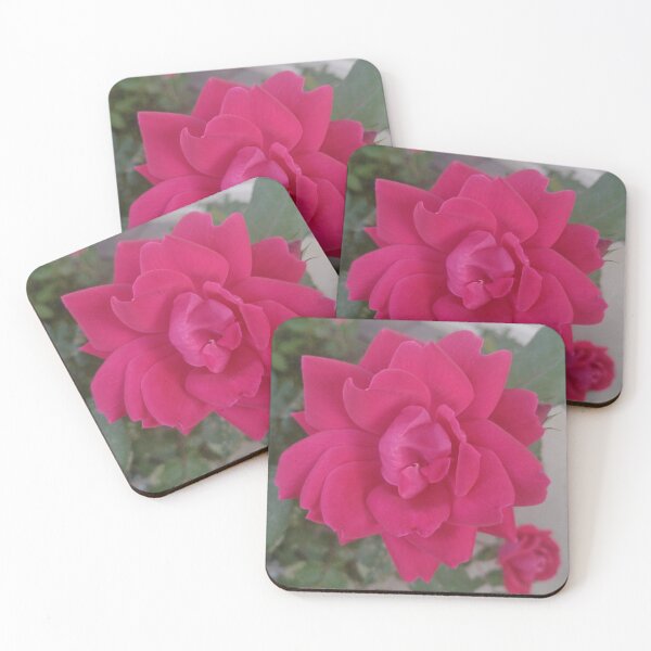 Item preview, Blooming Rose designed and sold by MegsMothyCabin.