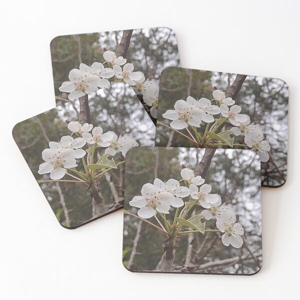 Item preview, Beautiful white flowers  designed and sold by MegsMothyCabin.