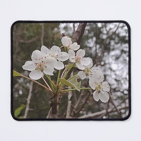 Item preview, Beautiful white flowers  designed and sold by MegsMothyCabin.