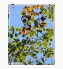 Leaves iPad Case/Skin