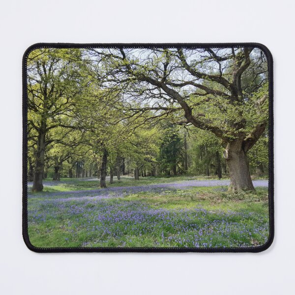 Item preview, English bluebell wood designed and sold by 66Pepperwood.
