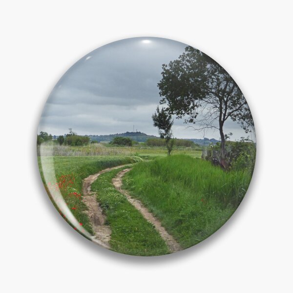 Item preview, A step in the spring. designed and sold by Paul Pasco.