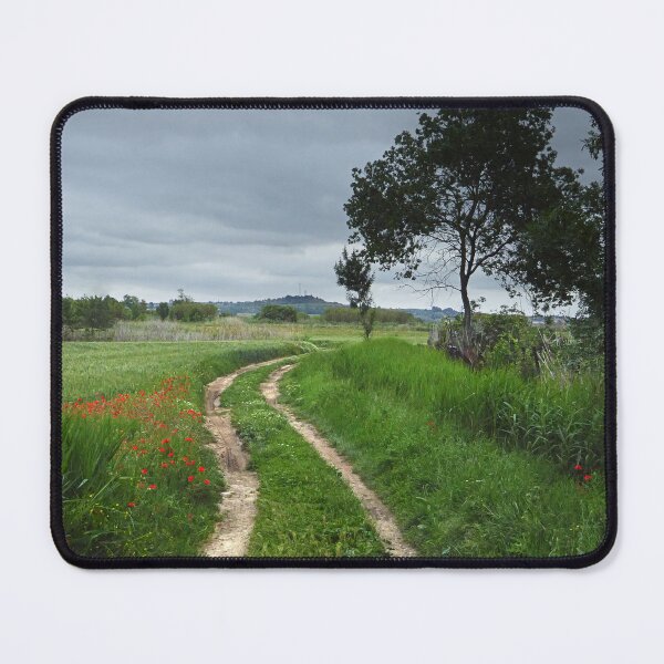 Item preview, A step in the spring. designed and sold by Paul Pasco.