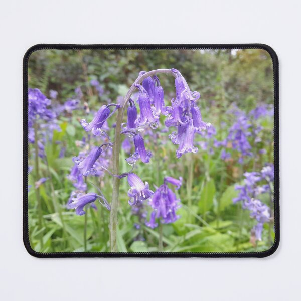 Item preview, English bluebell after rain  designed and sold by 66Pepperwood.