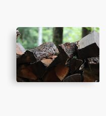 Log Pile Canvas Print