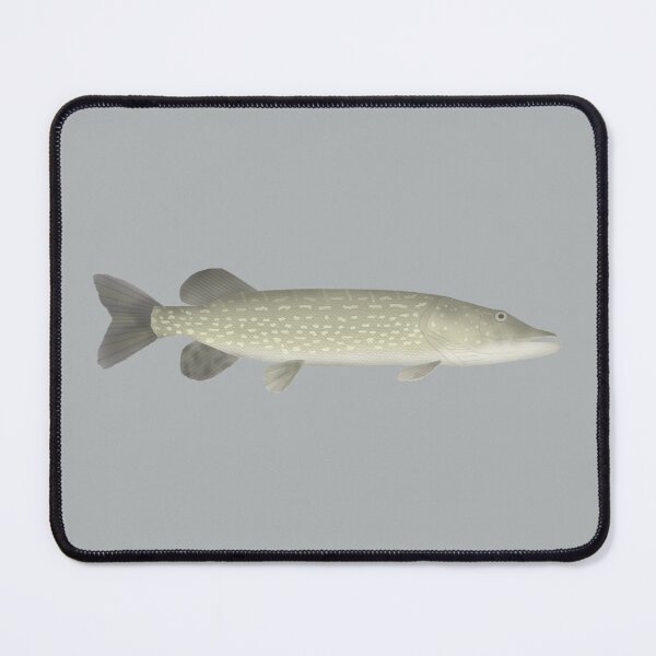 Item preview, Northern Pike designed and sold by fishfolkart.