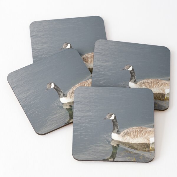 Item preview, Branta canadensis designed and sold by Norwegian Outdoors.