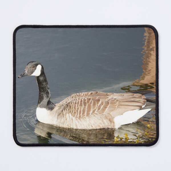 Item preview, Branta canadensis designed and sold by Norwegian Outdoors.