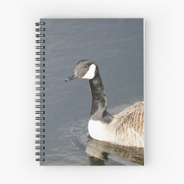 Item preview, Branta canadensis designed and sold by Norwegian Outdoors.
