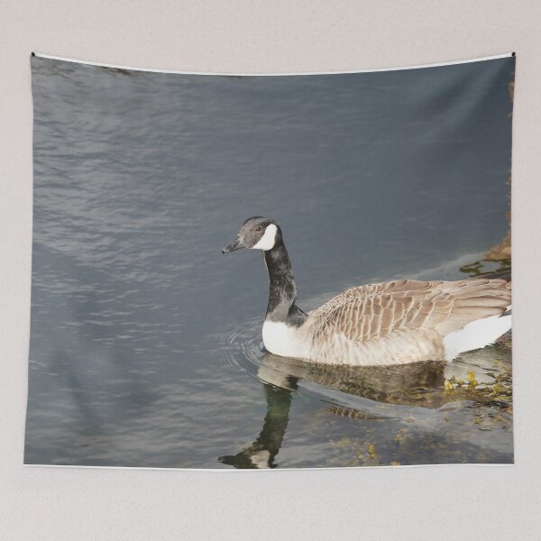 Item preview, Branta canadensis designed and sold by Norwegian Outdoors.