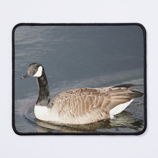 Item preview, Branta canadensis designed and sold by Norwegian Outdoors.