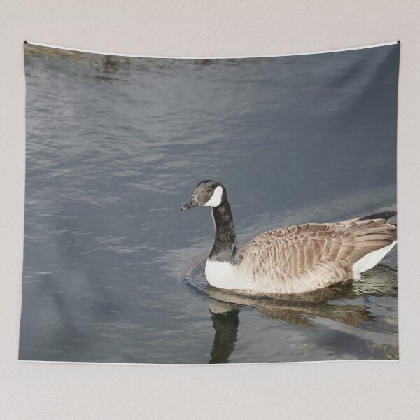 Item preview, Branta canadensis designed and sold by Norwegian Outdoors.