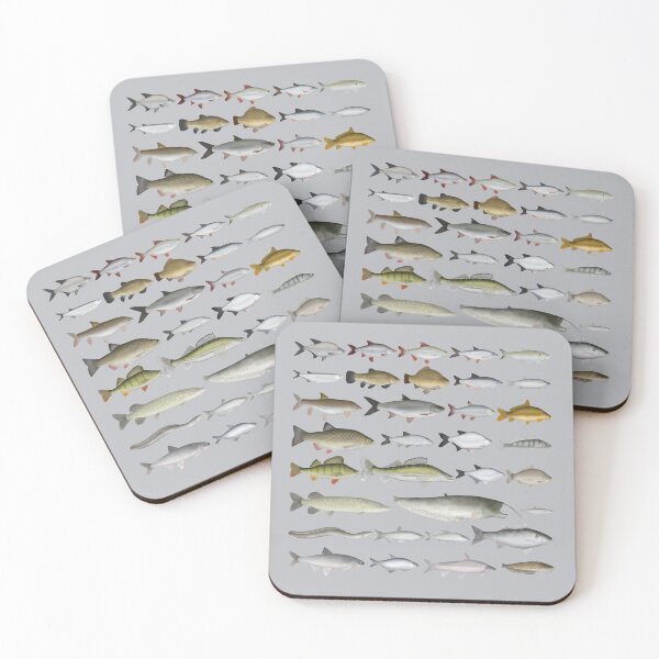 Item preview, European Freshwater Fish Group designed and sold by fishfolkart.