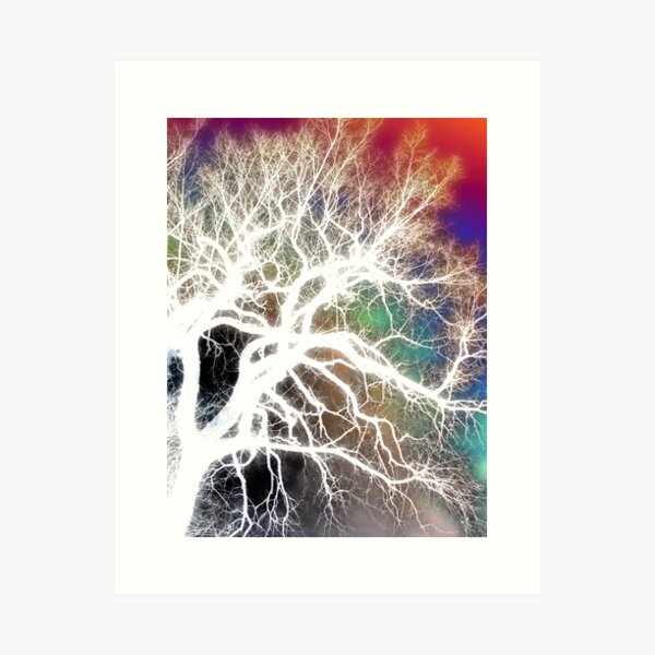 Item preview, Branches designed and sold by kenspics.