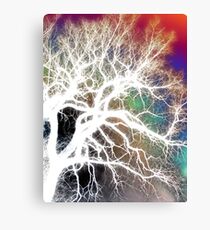 Branches Canvas Print