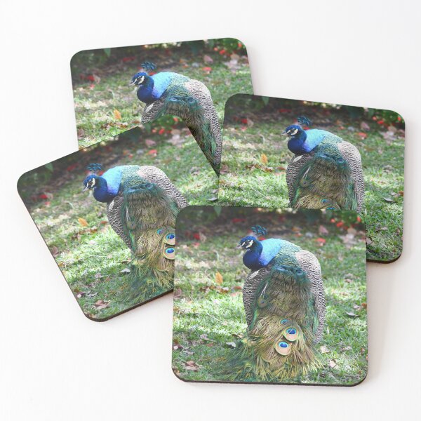Item preview, Peacock in the Sun designed and sold by richardbryce.