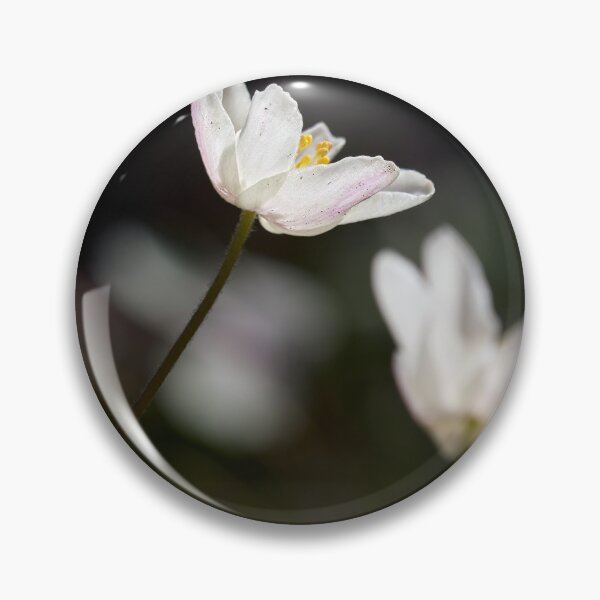 Item preview, Contrast. Wood anemone designed and sold by Jouko Lehto Photography.