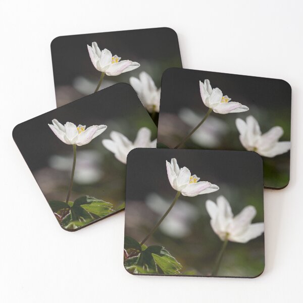 Item preview, Contrast. Wood anemone designed and sold by Jouko Lehto Photography.