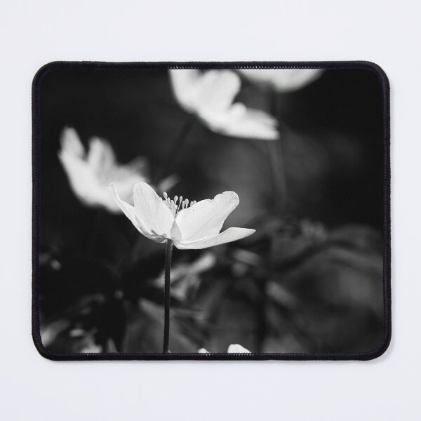 Item preview, Contrast 2. Wood anemone bw designed and sold by Jouko Lehto Photography.