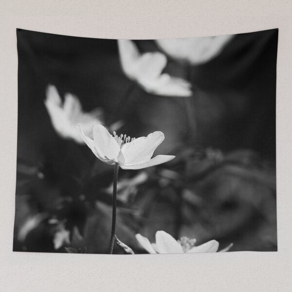 Item preview, Contrast 2. Wood anemone bw designed and sold by Jouko Lehto Photography.