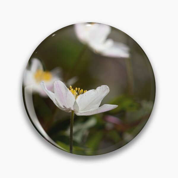 Item preview, Contrast 3. Wood anemone designed and sold by Jouko Lehto Photography.