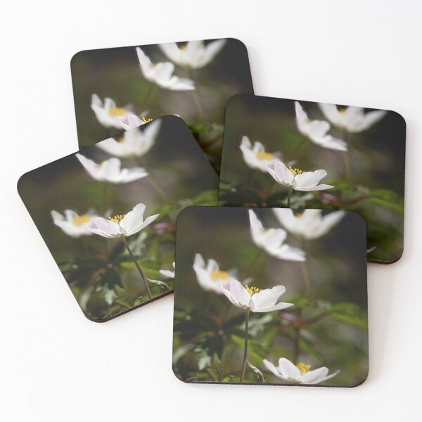 Item preview, Contrast 3. Wood anemone designed and sold by Jouko Lehto Photography.