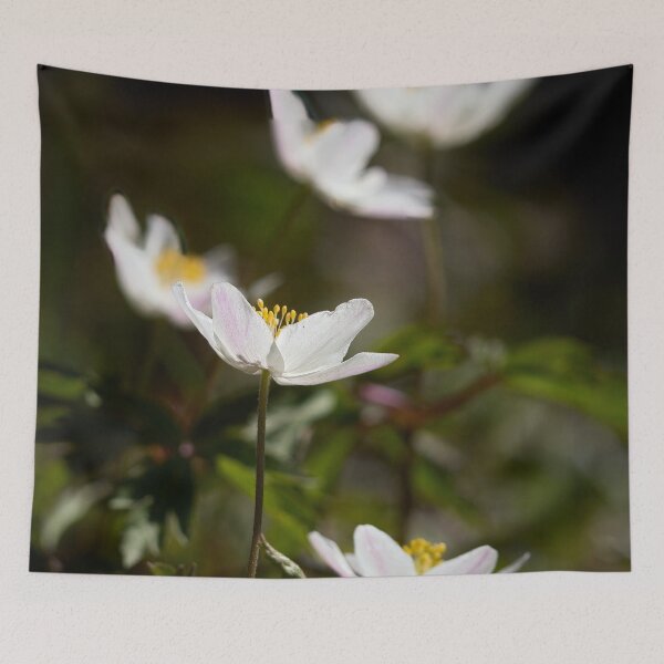 Item preview, Contrast 3. Wood anemone designed and sold by Jouko Lehto Photography.