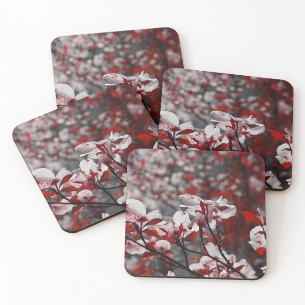 Item preview, White and Red Dogwood Flowers designed and sold by spicynoodleart.