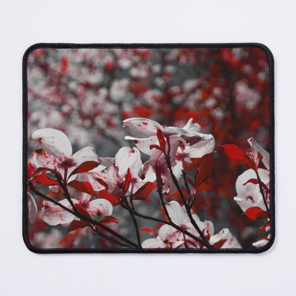 Item preview, White and Red Dogwood Flowers designed and sold by spicynoodleart.