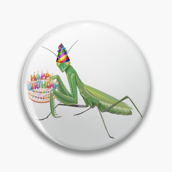 Item preview, Praying Mantis Happy Birthday Cake Party Hat designed and sold by nickp1480.