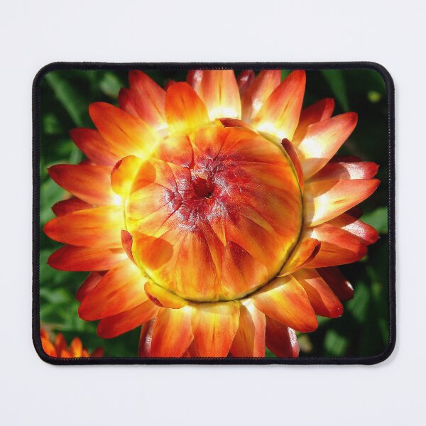 Item preview, opening designed and sold by Tereza Pilar  Art.