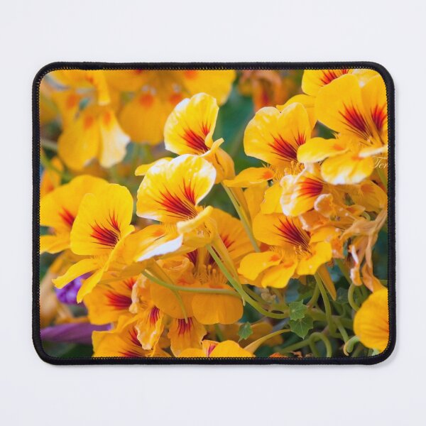 Item preview, wildflowers designed and sold by Tereza Pilar  Art.